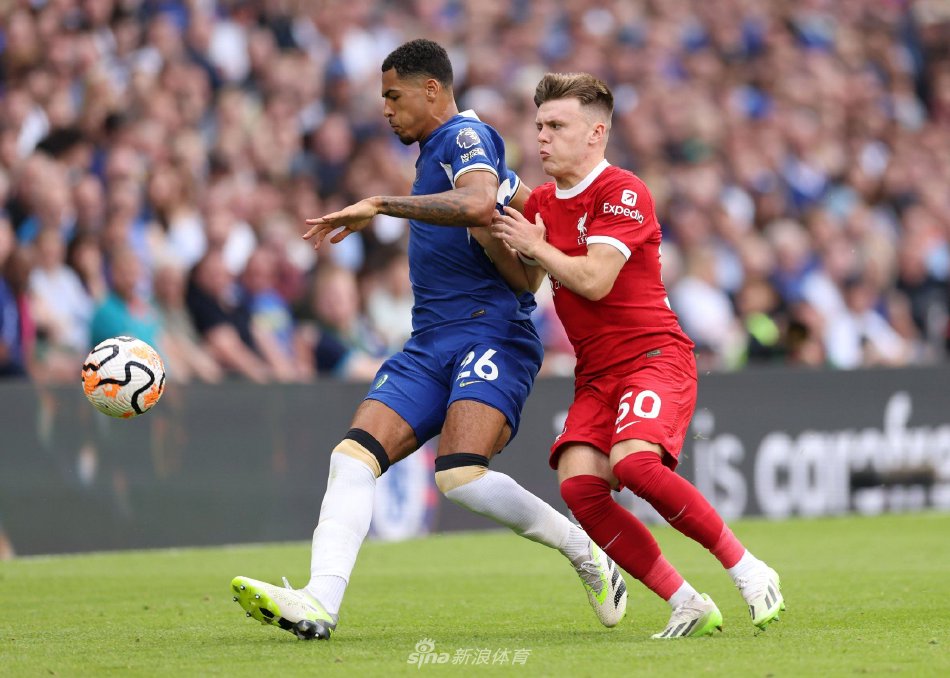 的波动交织 的波动交织